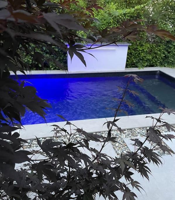 Villa Moderne Avec Piscine Albi Exterior photo